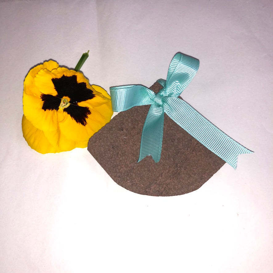 Pedra de Lava - Concha A Mãe M&M